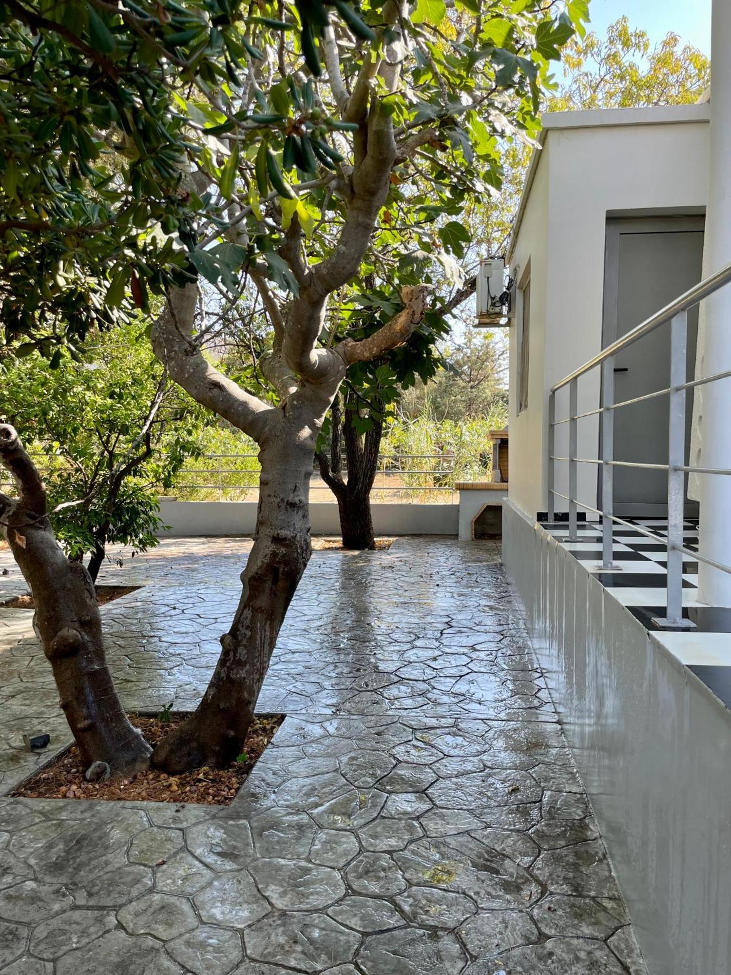 Pórto Ráfti Architect'S Summer House By The Beach מראה חיצוני תמונה